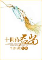 小说《十世待君安》经典语录文案和名句摘抄