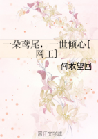 小说《网王一朵鸢尾，一世倾心》经典语录文案和名句摘抄