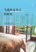 小说《当我放过自己的时候》经典语录文案和名句摘抄