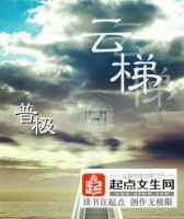 小说《云梯》经典语录文案和名句摘抄