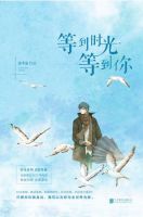小说《等到时光等到你》经典语录文案和名句摘抄