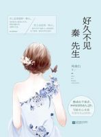 小说《好久不见，秦先生》经典语录文案和名句摘抄