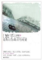 小说《放手是我对你最后的疼爱》经典语录文案和名句摘抄