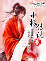 小说《小楼传说》经典语录文案和名句摘抄