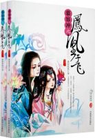 小说《慕容冲之凤凰于飞》经典语录文案和名句摘抄