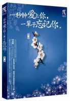 小说《一秒钟爱上你 一辈子忘记你》经典语录文案和名句摘抄