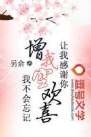 小说《让我感谢你，赠我空欢喜，我不会忘记》经典语录文案和名句摘抄