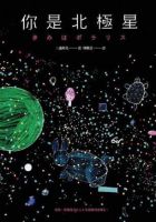 小说《你是北极星》经典语录文案和名句摘抄