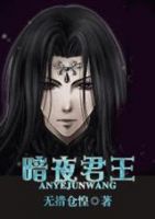 小说《无赦系列》经典语录文案和名句摘抄