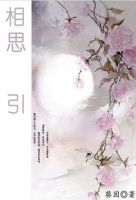 小说《相思引(葵因小说)》经典语录文案和名句摘抄