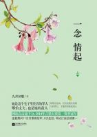 小说《一念情起》经典语录文案和名句摘抄