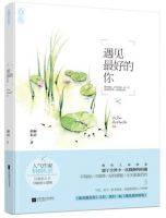 小说《遇见最好的你》经典语录文案和名句摘抄