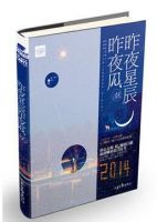 小说《昨夜星辰昨夜风》经典语录文案和名句摘抄