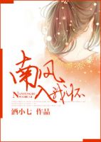 小说《南风入我怀》经典语录文案和名句摘抄