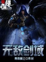 小说《无敌剑域》经典语录文案和名句摘抄