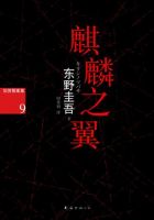 小说《麒麟之翼》经典语录文案和名句摘抄