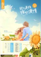 小说《我只是怕惊动了爱情》经典语录文案和名句摘抄