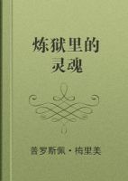 小说《炼狱都过不不军他把的灵魂》经典语录文案和名句摘抄