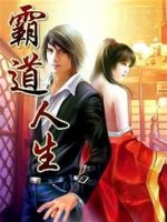 小说《霸道人生》经典语录文案和名句摘抄