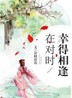 小说《幸得相逢在对时》经典语录文案和名句摘抄