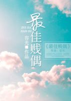 小说《最佳贱偶》经典语录文案和名句摘抄