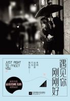 小说《遇见你刚刚好》经典语录文案和名句摘抄