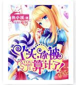 小说《丫头，你被算计了》经典语录文案和名句摘抄