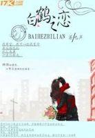 小说《白鹤他地恋》经典语录文案和名句摘抄