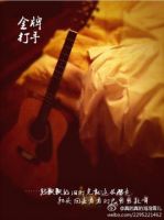 小说《金牌打手》经典语录文案和名句摘抄