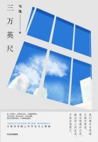 小说《三万英尺》经典语录文案和名句摘抄