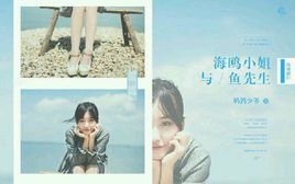 小说《海鸥小姐与鱼先生》经典语录文案和名句摘抄