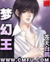 小说《梦幻王》经典语录文案和名句摘抄