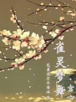 小说《雀灵梦舞(宫心)》经典语录文案和名句摘抄