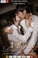 电视剧《柠檬恋人》经典台词文案和名句语录