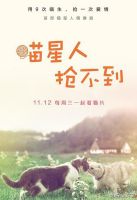 电视剧《喵星人抢不到》经典台词文案和名句语录