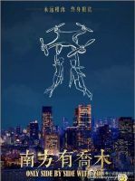 电视剧《南方有乔木(电视剧)》经典台词文案和名句语录