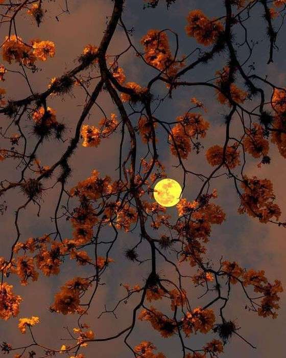 电视剧《摩天大楼》经典台词文案和名句语录