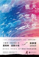 《疯犬少年的天空》经典语录文案和名句摘抄