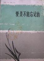 《爱，是不能忘记的》经典语录文案和名句摘抄