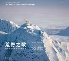 《荒野学这歌》经典语录文案和名句摘抄