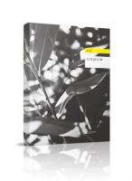 《白洋淀纪事》经典语录文案和名句摘抄