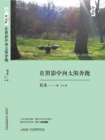 《在阴影中向太阳奔跑》经典语录文案和名句摘抄