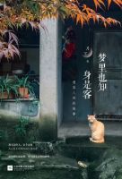 《梦里也知身是客》经典语录文案和名句摘抄