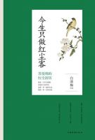 《今生只做红尘客》经典语录文案和名句摘抄