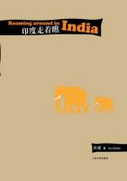 《印度走着瞧》经典语录文案和名句摘抄