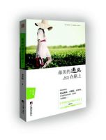 《最美的遇见在路上》经典语录文案和名句摘抄