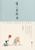 《等一朵花开》经典语录文案和名句摘抄