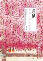 《遇见幽梦一帘花影深》经典语录文案和名句摘抄