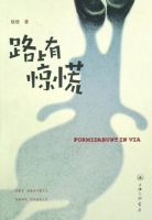 《路上有惊慌》经典语录文案和名句摘抄