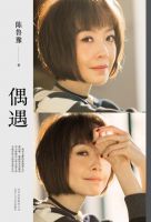 《偶遇(陈鲁豫书籍)》经典语录文案和名句摘抄